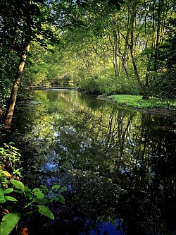 Fairytale