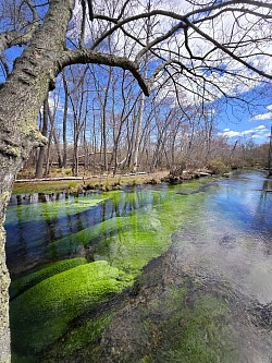 Lost Creek
