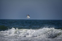 Wave Chaser