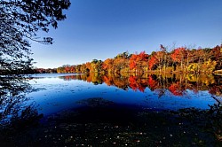 Reflection & Shadows