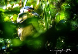 To Stalk or be stalked